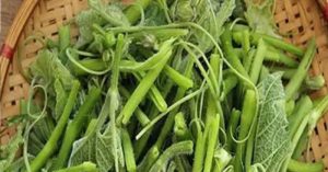 These 3 vegetables have a high risk of causing ca.n.cer. Know early to avoid them and tell your loved ones!