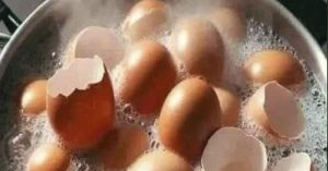 Don’t throw them away anymore: How to use eggshells for your health and your plants