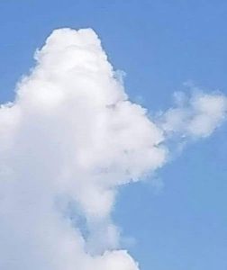 What Do You See: A Fish or a Plane? The Left-Brain vs. Right