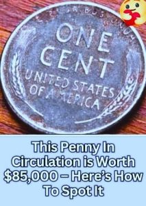 Find This Rare Penny in Your Change and It Could Fetch $85,000