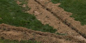 I Created a Beautiful $2,700 Lawn My Husband Always Dreamed Of – A Month Later, My Neighbor Decided She Could Do Whatever She Wanted with It