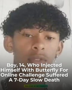 Boy, 14, who injected himself with butterfly for online challenge suffered a 7-day slow death