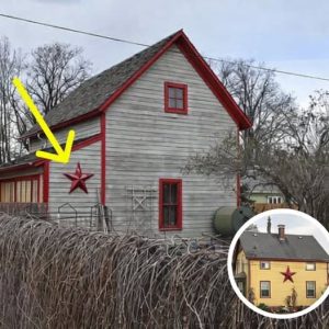 Inside the Secret Story of Pennsylvania’s Barn Stars