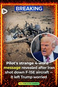 Pilot’s strange 4-word message revealed after Iran shot down F