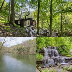 Private Cabin Retreat on Expansive Acreage in Fairview